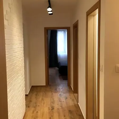 شقة 