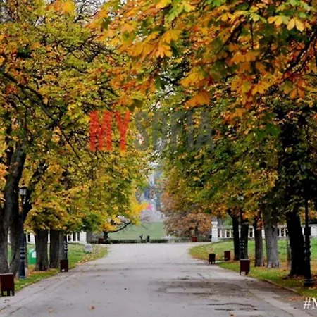 Centrally Located , Brand New, Cozy With Parking Appartamento *